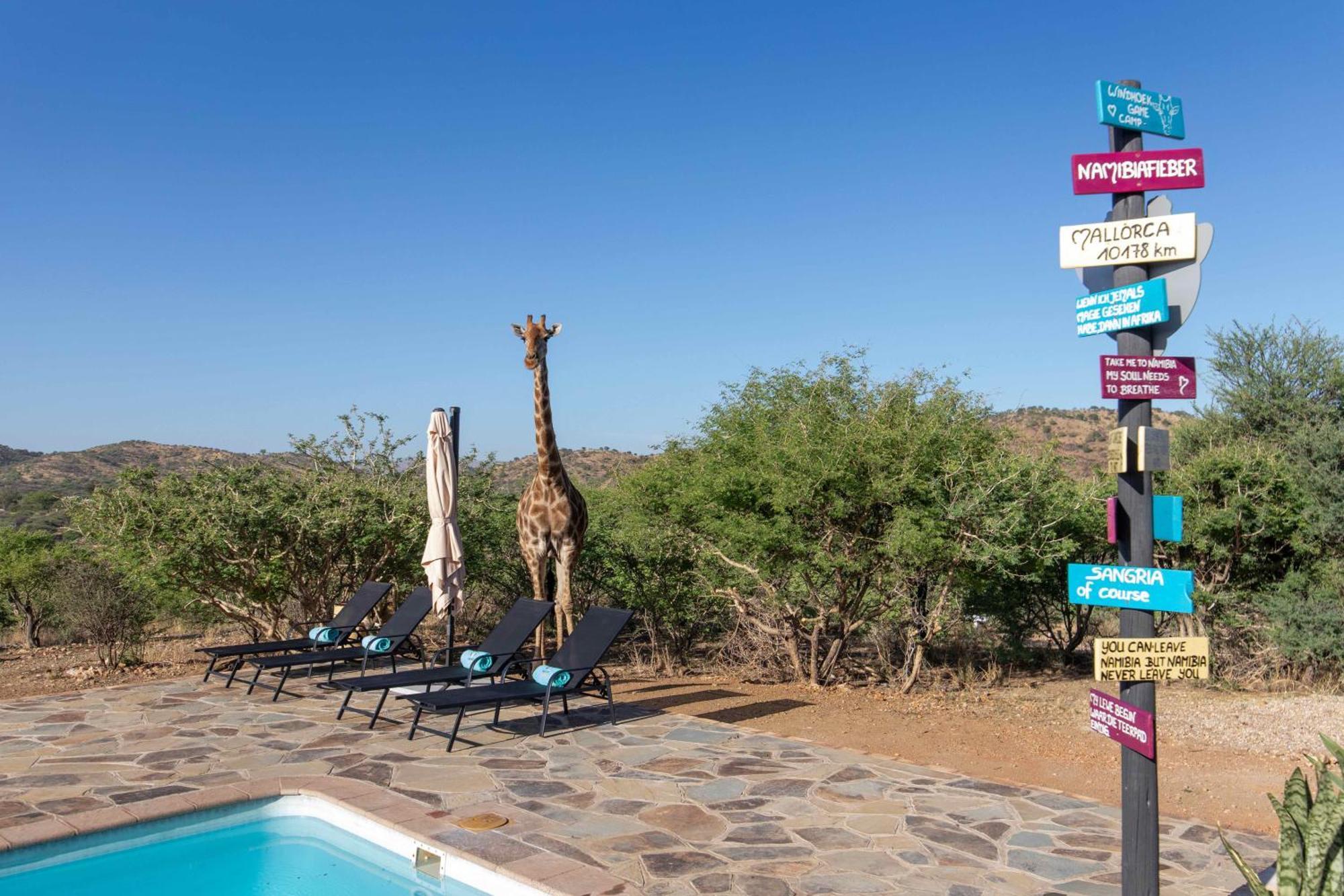 Windhoek Game Camp Lafrenz Township Extérieur photo