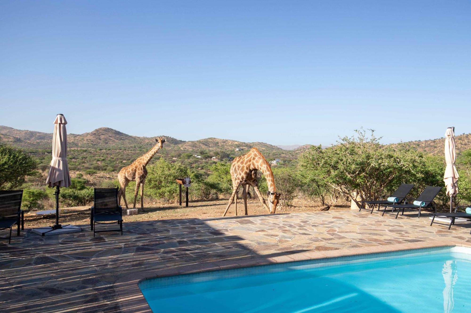 Windhoek Game Camp Lafrenz Township Extérieur photo