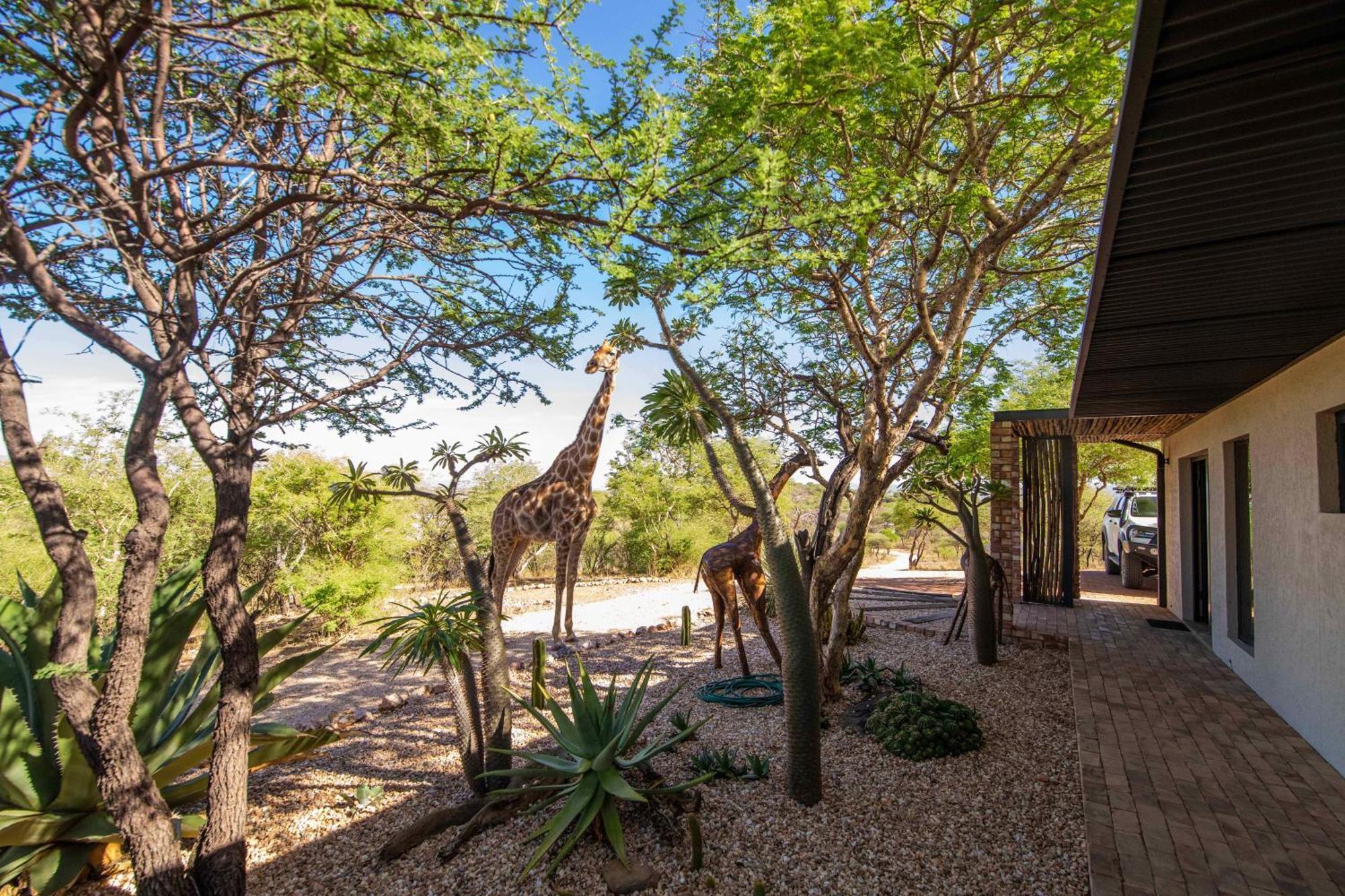 Windhoek Game Camp Lafrenz Township Extérieur photo