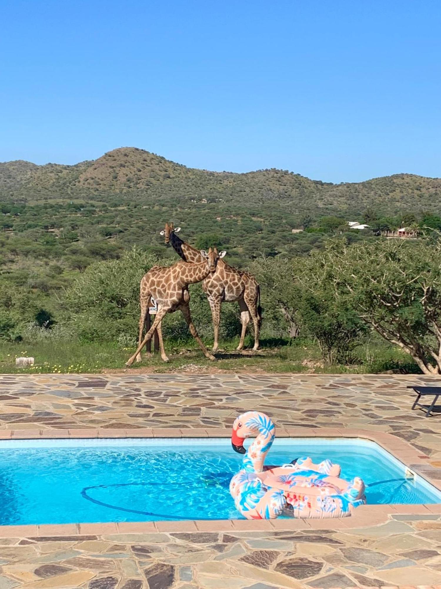 Villa Windhoek Game Camp à Lafrenz Township Extérieur photo